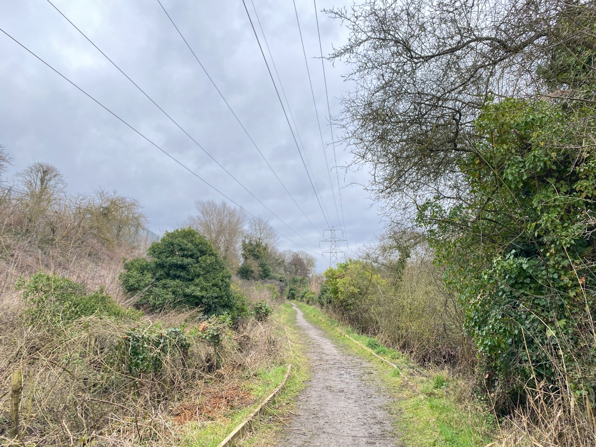 Nature area at Eastern Gateway Enterprise Park Sproughton