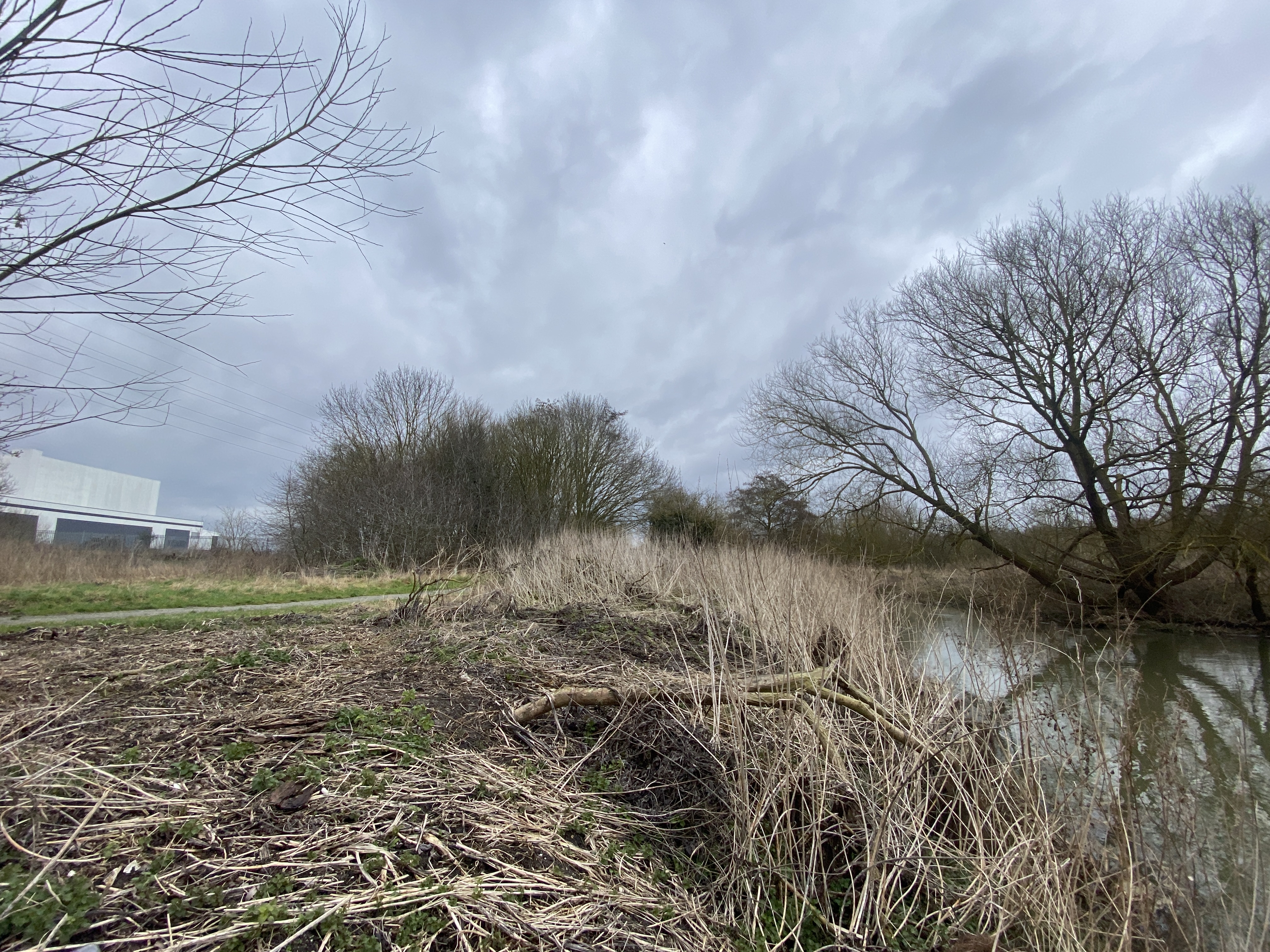 Sproughton Local Nature Reserve at Eastern Gateway Enterprise Park