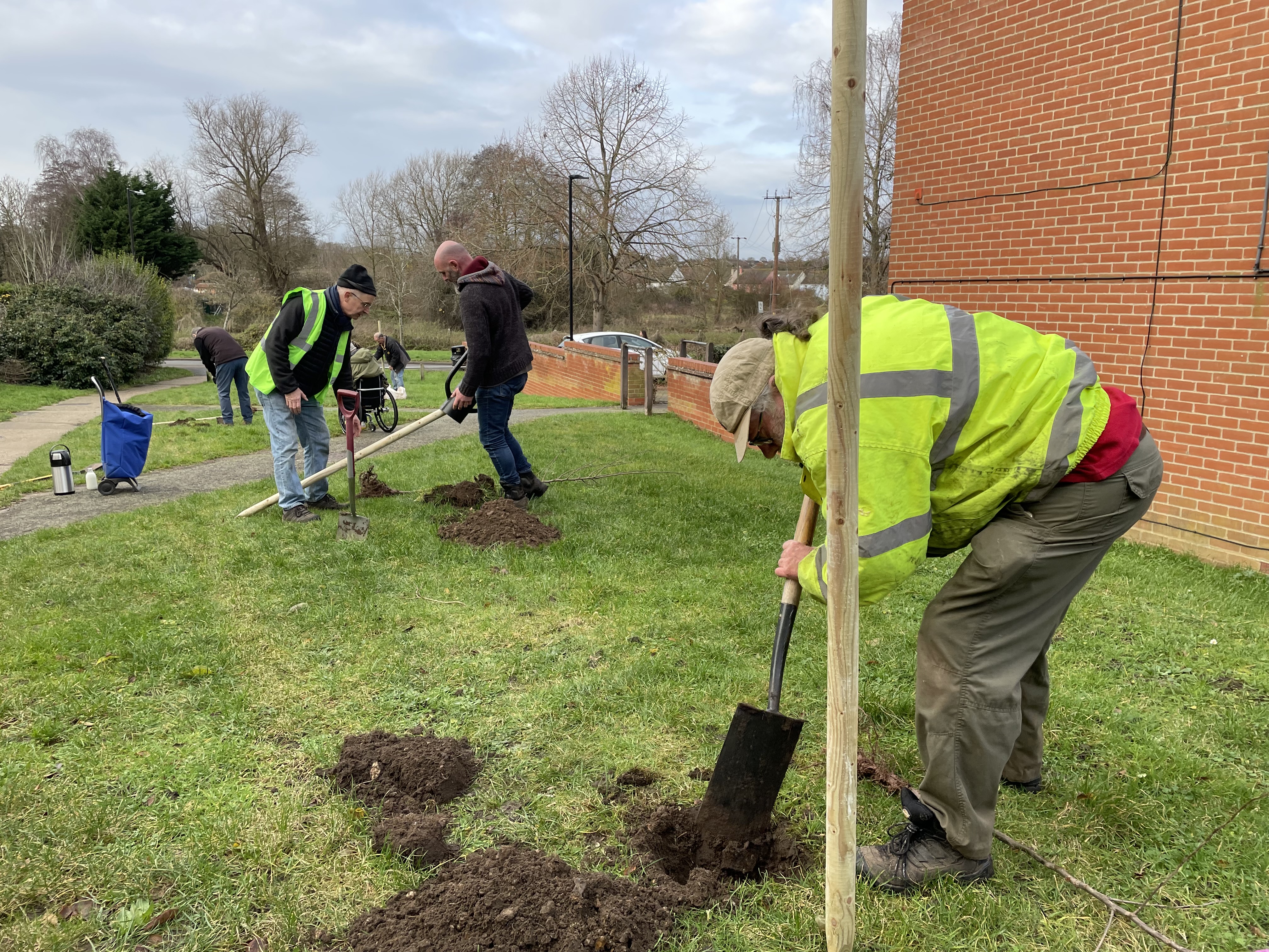Tree planting with volunteers from Hadleigh Environmental Action Team (HEAT)