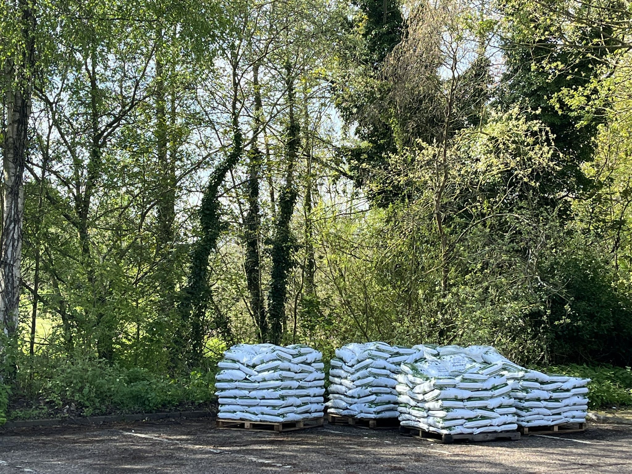 Free compost and competition - May 2023 - Babergh District Council ...